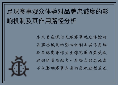 足球赛事观众体验对品牌忠诚度的影响机制及其作用路径分析
